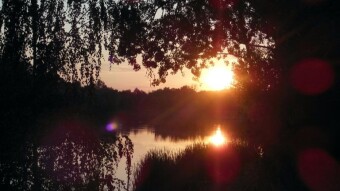 Heat, heat, hot and stuffy. Hard to live in the city. - My Actifit Report Card: August 20 2023