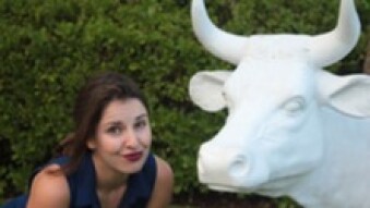 Altcoins: May the bull run be with you!