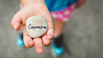 Cooperatives