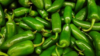 Jalapeños, France and me ( Part 1 )
