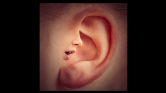 Do You Follow the Still Small Voice?