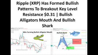 Ripple (XRP) Has Formed Bullish Patterns To Breakout Key Level Resistance $0.31 | Bullish Alligators Mouth And Bullish Shark