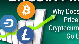 Why Does the Price of Bitcoin and Cryptocurrencies Go Up?