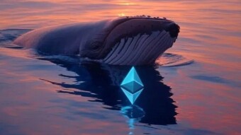 Whales Absorb 330,000 ETH in One Day