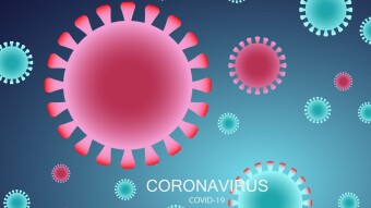 Two best websites to track COVID-19 statistics
