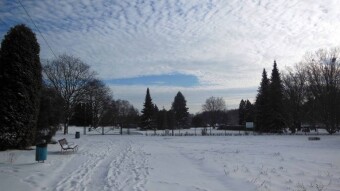 Birdy, wintery, beautiful, sunny and problem-free - My Actifit Report Card: January 14, 2025