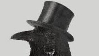 My experience in the world of cryptos [story]