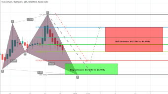 TomoChain TomoChain (TOMO) Is Forming Bullish Shark Pattern And Completing The Bullish Setup For Upto 63% Move On Short Term 12hr Chart