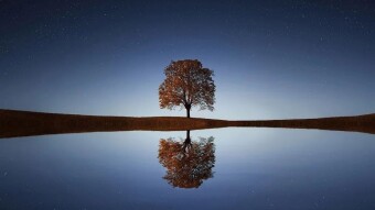 Daily Affirmations - 14 Mar, 2020