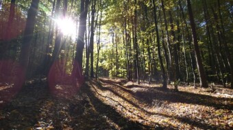 Today I spent the whole day in Jura. It was worth it - My Actifit Report Card: October 18 2024