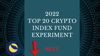 EXPERIMENT - Tracking Top 20 Cryptos Of 2022 - Month Five- DOWN 61%