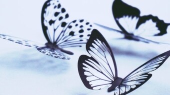 Causality - Start with 'Why?'