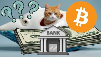 Bitcoin: The Danger Zone
