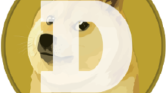 DOGE - What and Why?