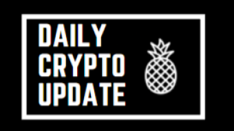 Crypto Market Update and Trading Digest 11.11