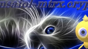 Tweety meets a real crypto kitty  -  Platform Acronyms