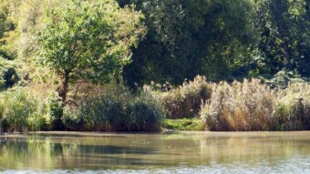 The weather was good, a bit of cycling and a bit of walking - My Actifit Report Card: September 5 2023