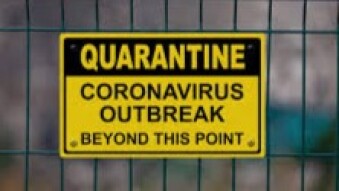 My quarantine story