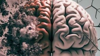 Brain Rot: How Small Screens Became the Plague Eating Our Focus