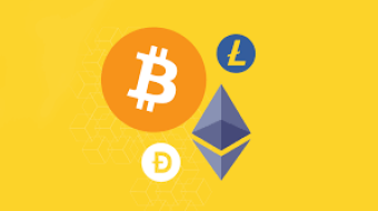 Portfolio Update #1
