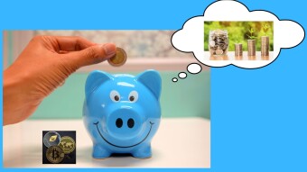 CRAZY IDEA FOR INVESTMENTS: saving the coins