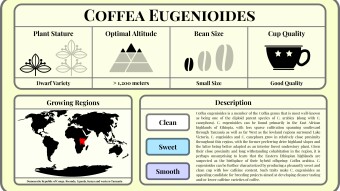 Conscious Caffeine #3 - Coffea eugenioides