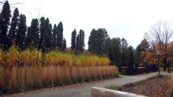 I spent a warm but rainy day on a long, two-part walk - My Actifit Report Card: November 21 2023
