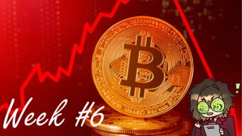My journey with 11 shitcoins - week #6