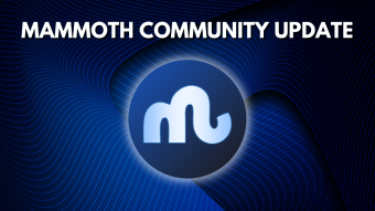 Mammoth Community Update
