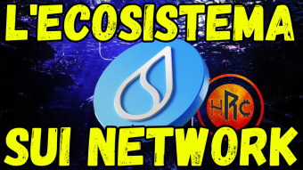 SUI: IL NUOVO GIOIELLO DELLA BLOCKCHAIN? ESPLORIAMO INSIEME il POTENZIALE del suo ECOSISTEMA!!!