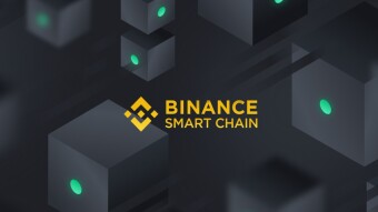 Can BNB still be an investment opportunity? Is BNB undervalued?