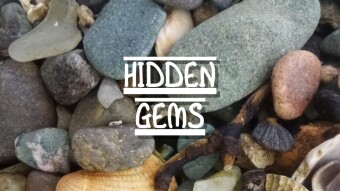 Hidden Gems #3 - Squealing Pigs by Admiral Fallow
