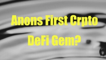 New potential gem, undervalued defi goodness with RAISE