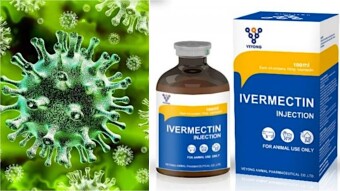 Can Ivermectin Be Viable Option for Treating COVID-19?