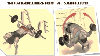 BARBELL BENCH PRESS vs. DUMBBELL FLYES