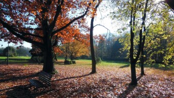 The return of beautiful autumn - all it took was a little sun - My Actifit Report Card: November 5, 2024
