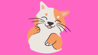 ADA Pussy [PUSSY] - Cardano Native Tokens Review