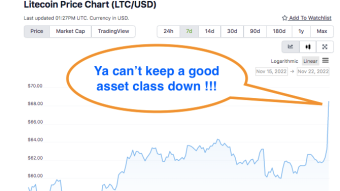 Coins that never went down - can't really call them chitcoins now then can ya...