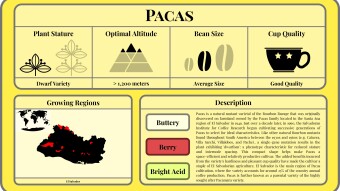 Conscious Caffeine #17 - Pacas