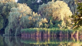 Beautiful day, perfect for a bike ride, but... - My Actifit Report Card: August 11 2023