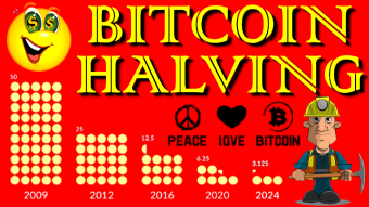 Halving, Bitcoin Price and the Adaptability of the Protocol.