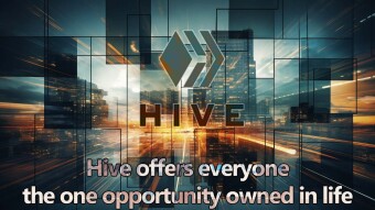 Hive offers everyone the one opportunity owned in life