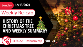 Recap of this Week's Posts by D.Buzz Vol.24 | And learn about Christmas trees