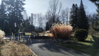 Today's heat record, plus 22 degrees in the shade - My Actifit Report Card: March 6, 2025