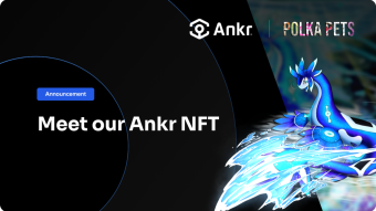 Meet Ankr… Our PolkaPets NFT Avatar Bearing Extra Rewards and Utility!
