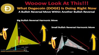 Wooow Look At This!!! What Dogecoin (DOGE) Doing | Bullish Reversal Within Another Bullish Reversal