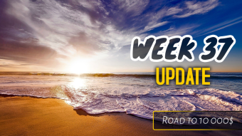 Weeks 31-37 Update