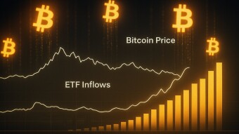 Bitcoin ETF Inflows Signal Underlying Strength Despite Price Drawdown