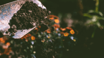 The Pi "dirt emergency"