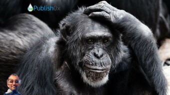 What Are You Doing With Your $ETH and $AMPL Withdrawals on KuCoin?